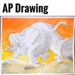 AP Drawing