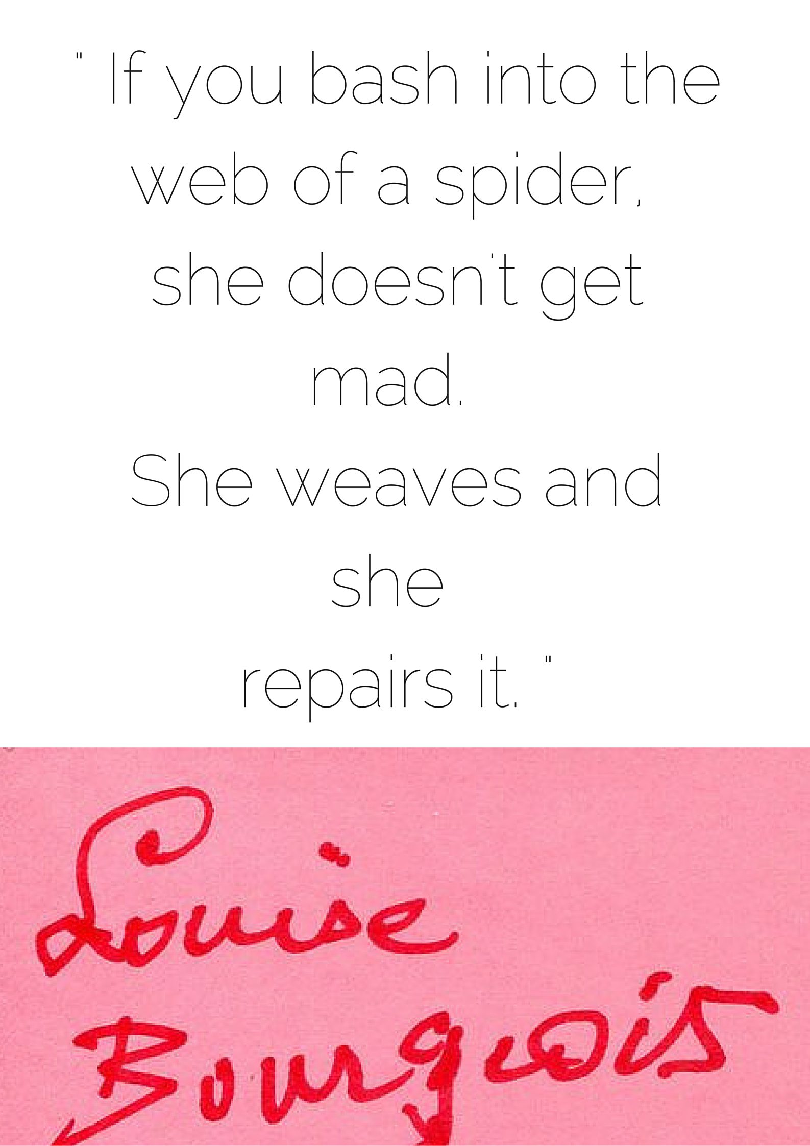 - If you bash into the web of a spider, she doesn't get mad. She weaves and she repairs it. -